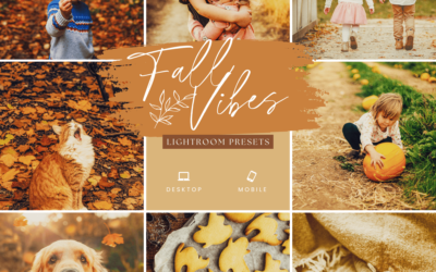 Fall Vibes Presets