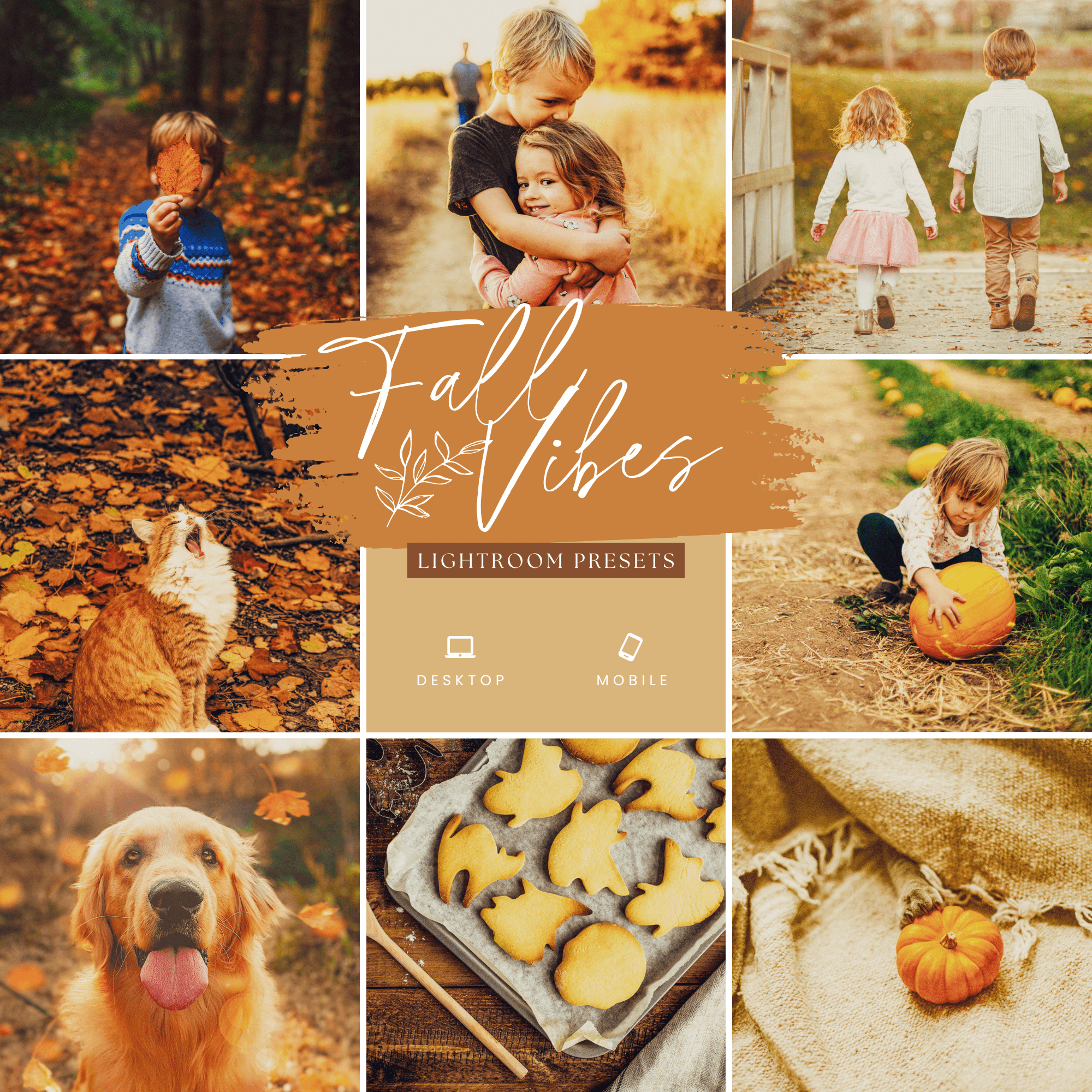 Fall Vibes