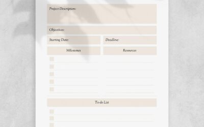 Project Overview