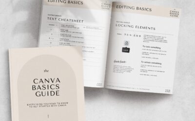 The Canva Basics Guide
