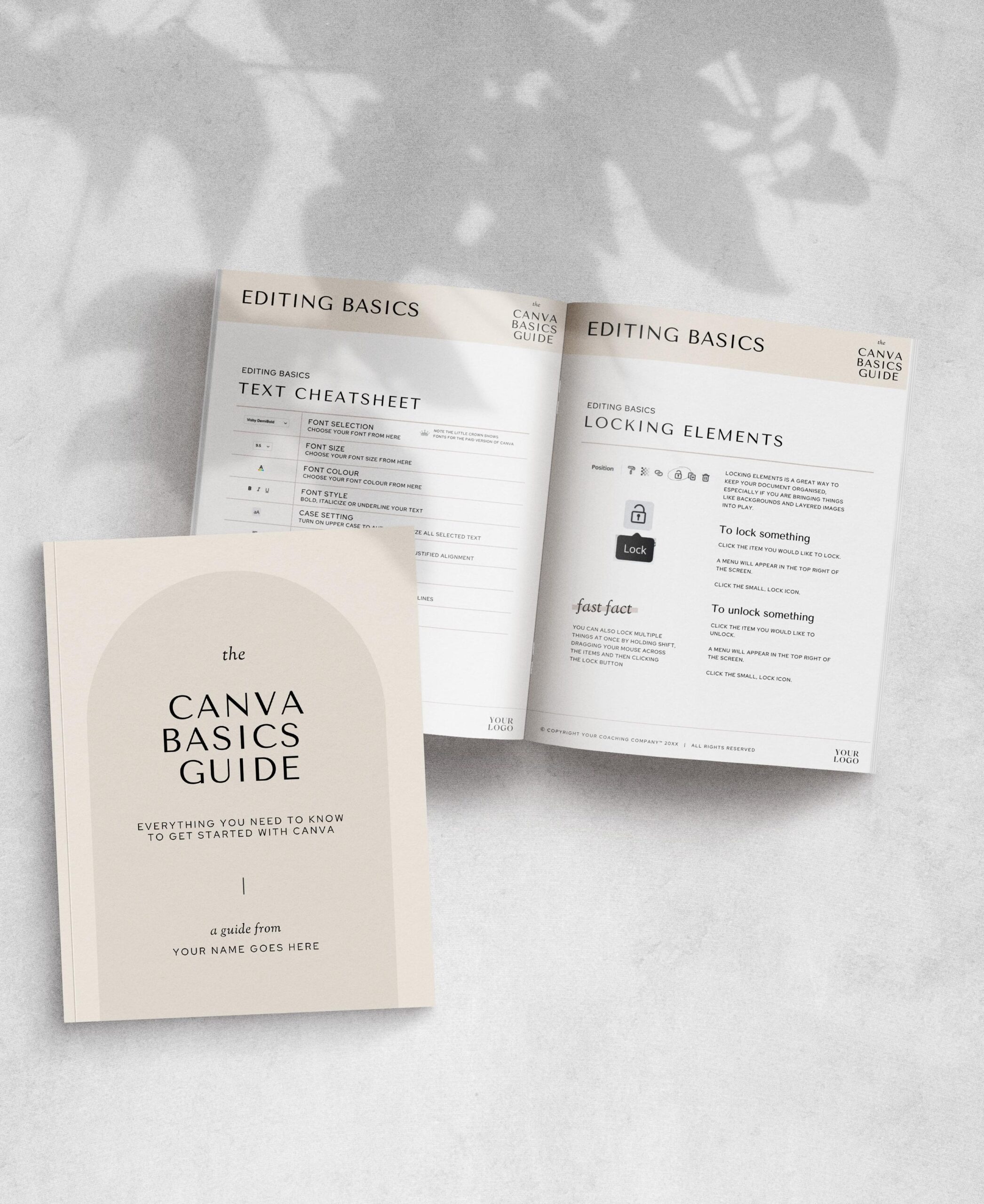 The Canva Basics Guide