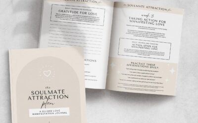 Soulmate Attraction Plan