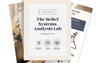 The Belief Systems Analysis Lab