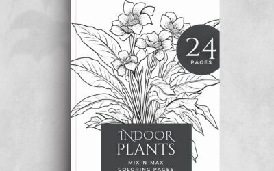 Indoor Plants