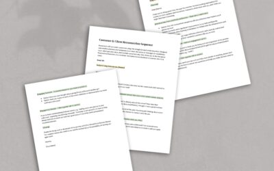 Customer & Client Reconnection Sequence