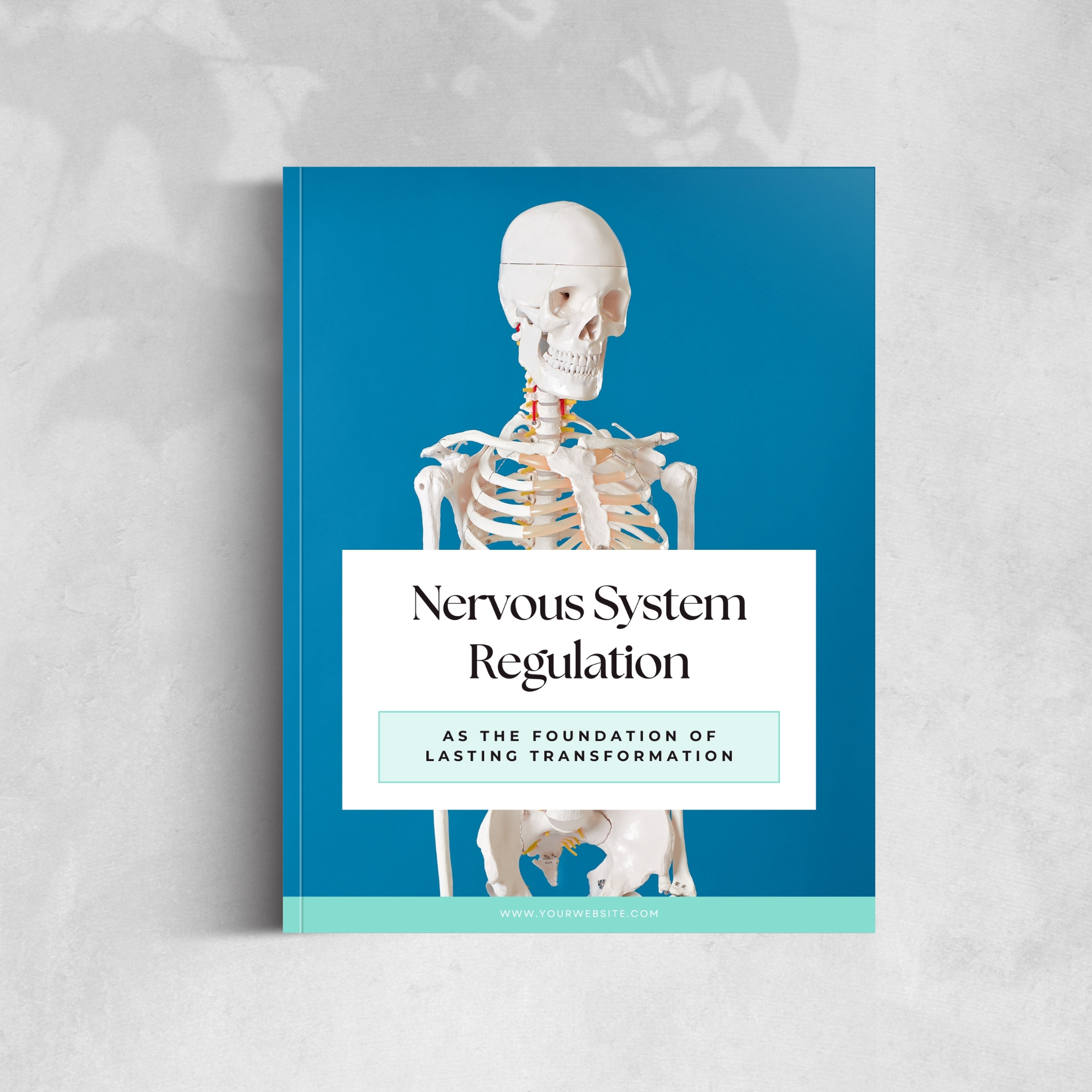 Nervous System Regulation Guide E BOOK Mock Up