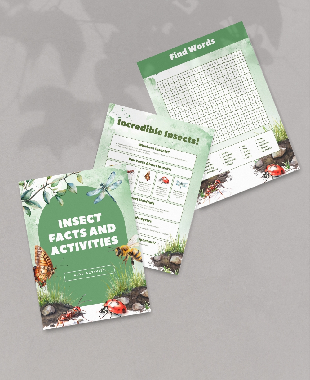 Insect Activity Pack Mock Up