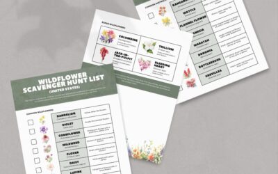 Wildflower Scavenger Hunt