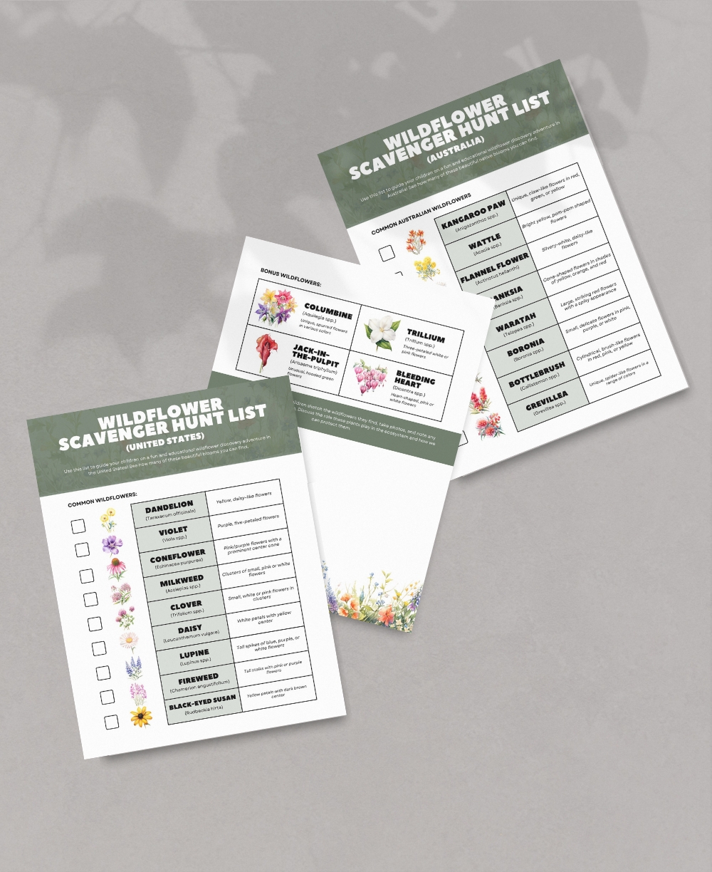 Wildflower Scavenger Hunt Mock Up