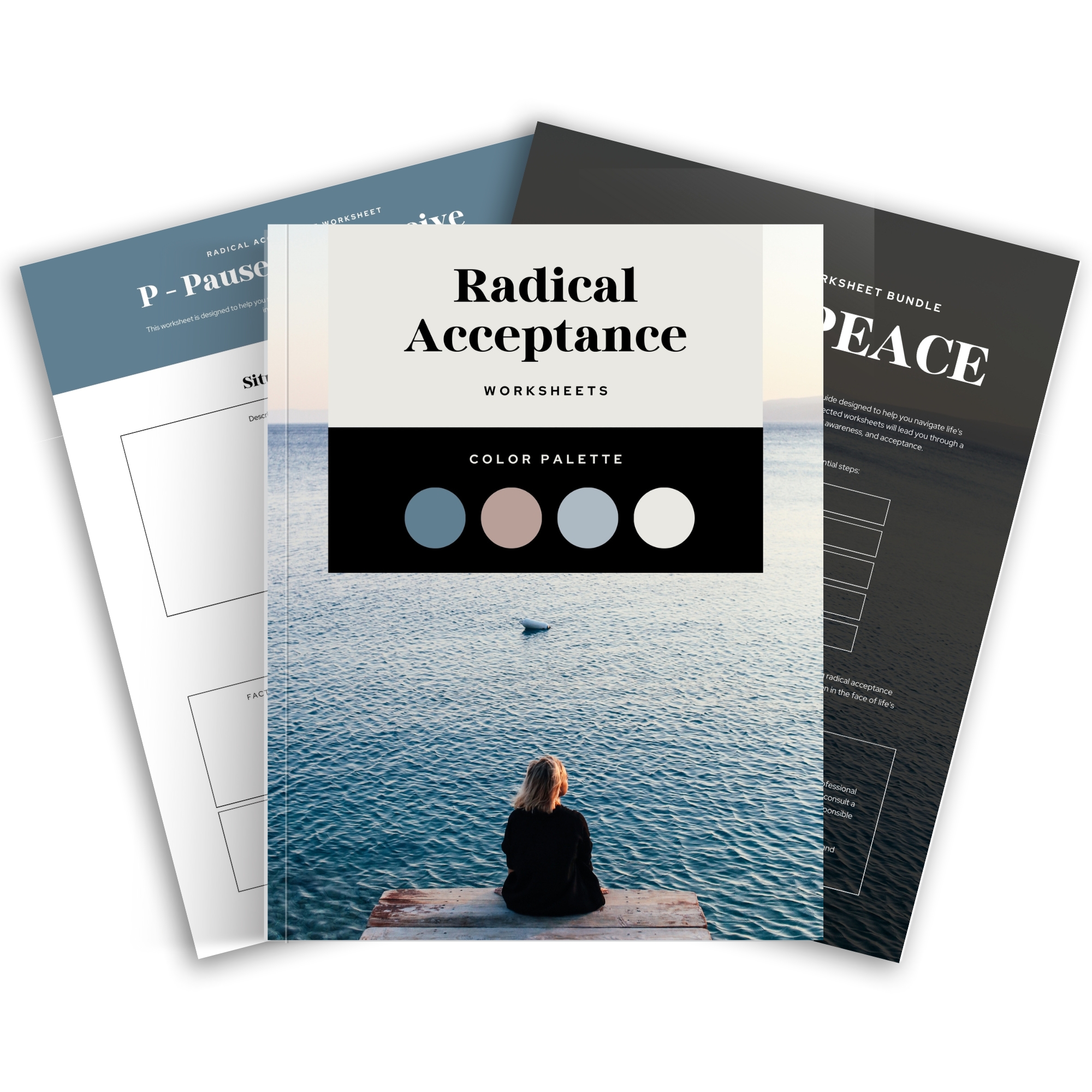 Radical Acceptance Worksheet Mock Up