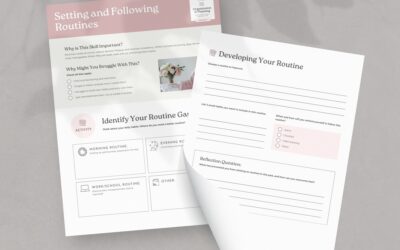 Setting and following routines – Executive Functioning Coaching