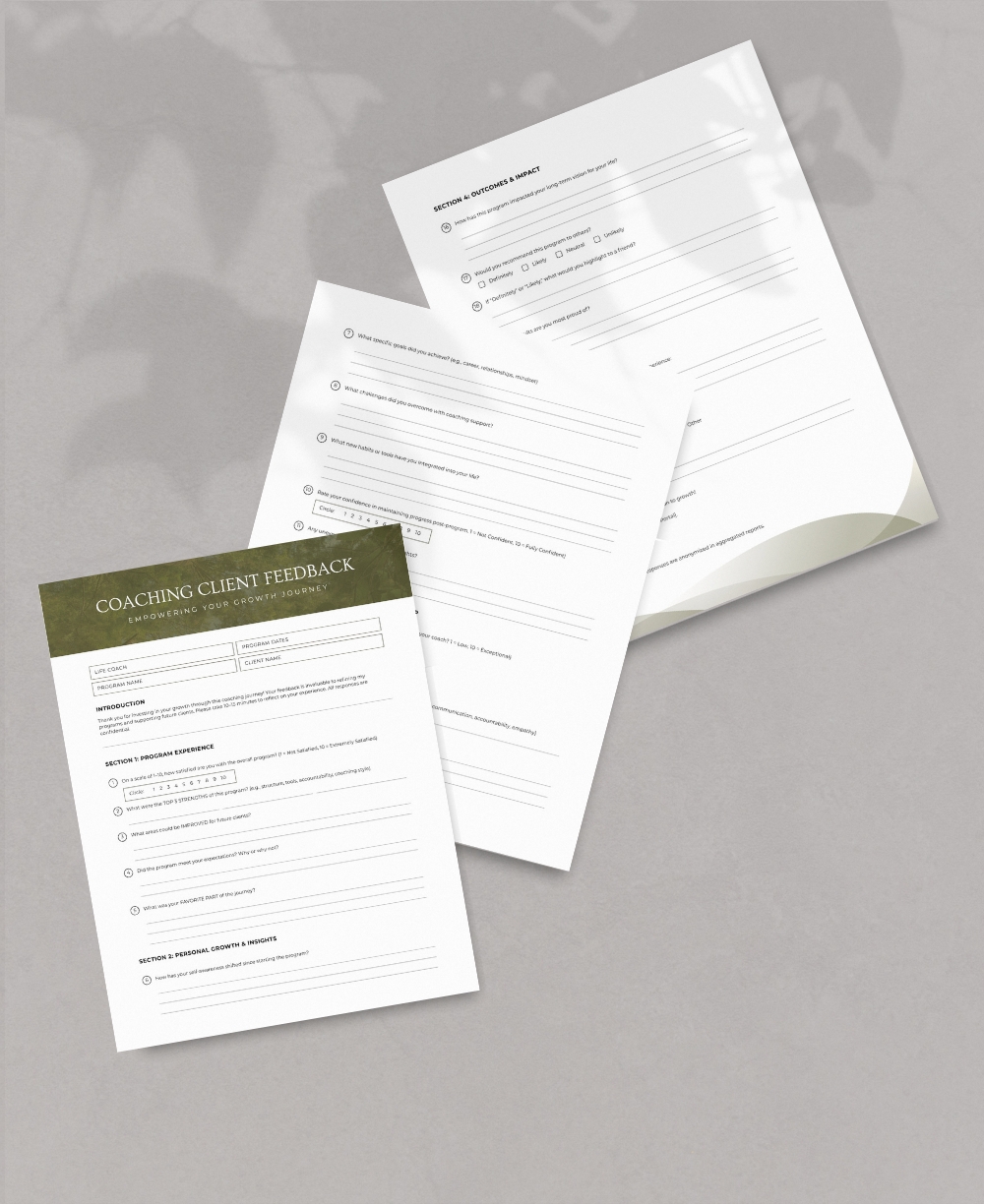 Coaching Client Feedback Form Mock Up