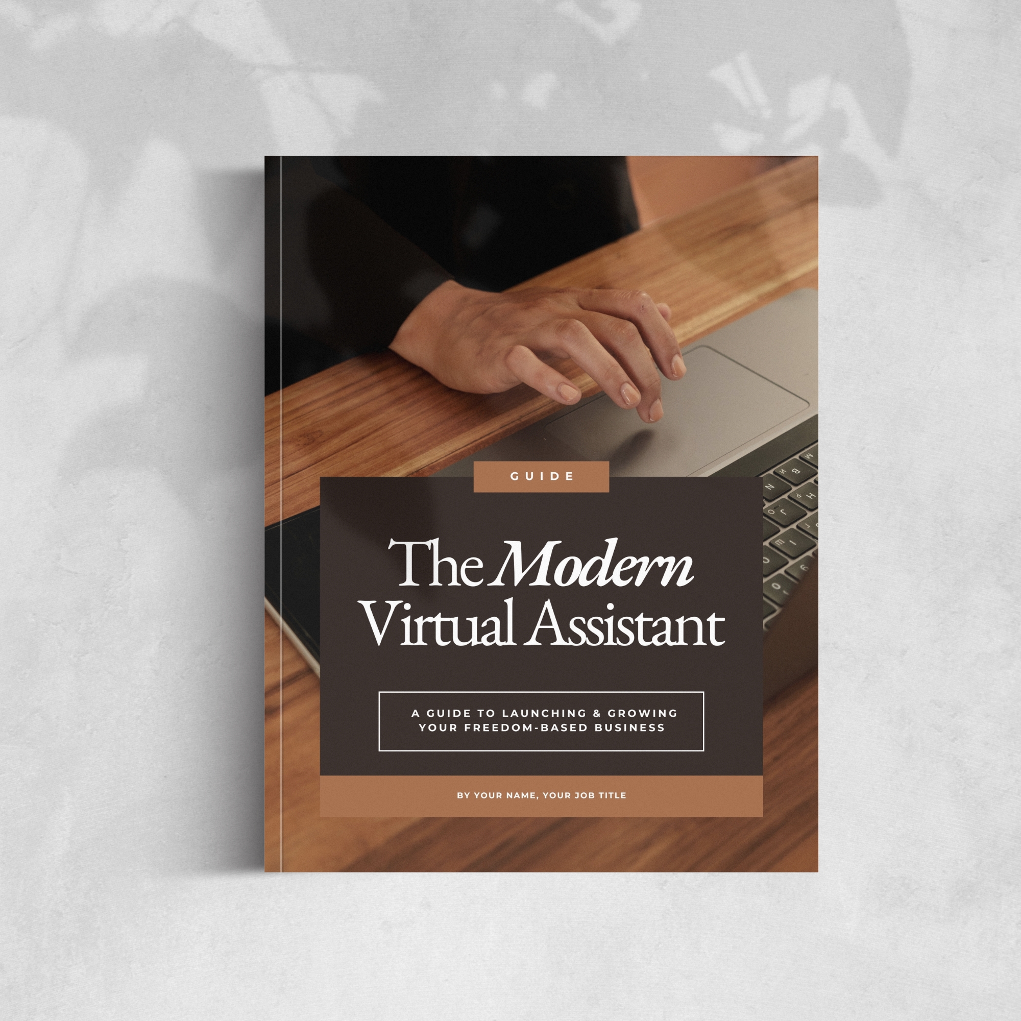 Virtual Assistant Guide Mock Up
