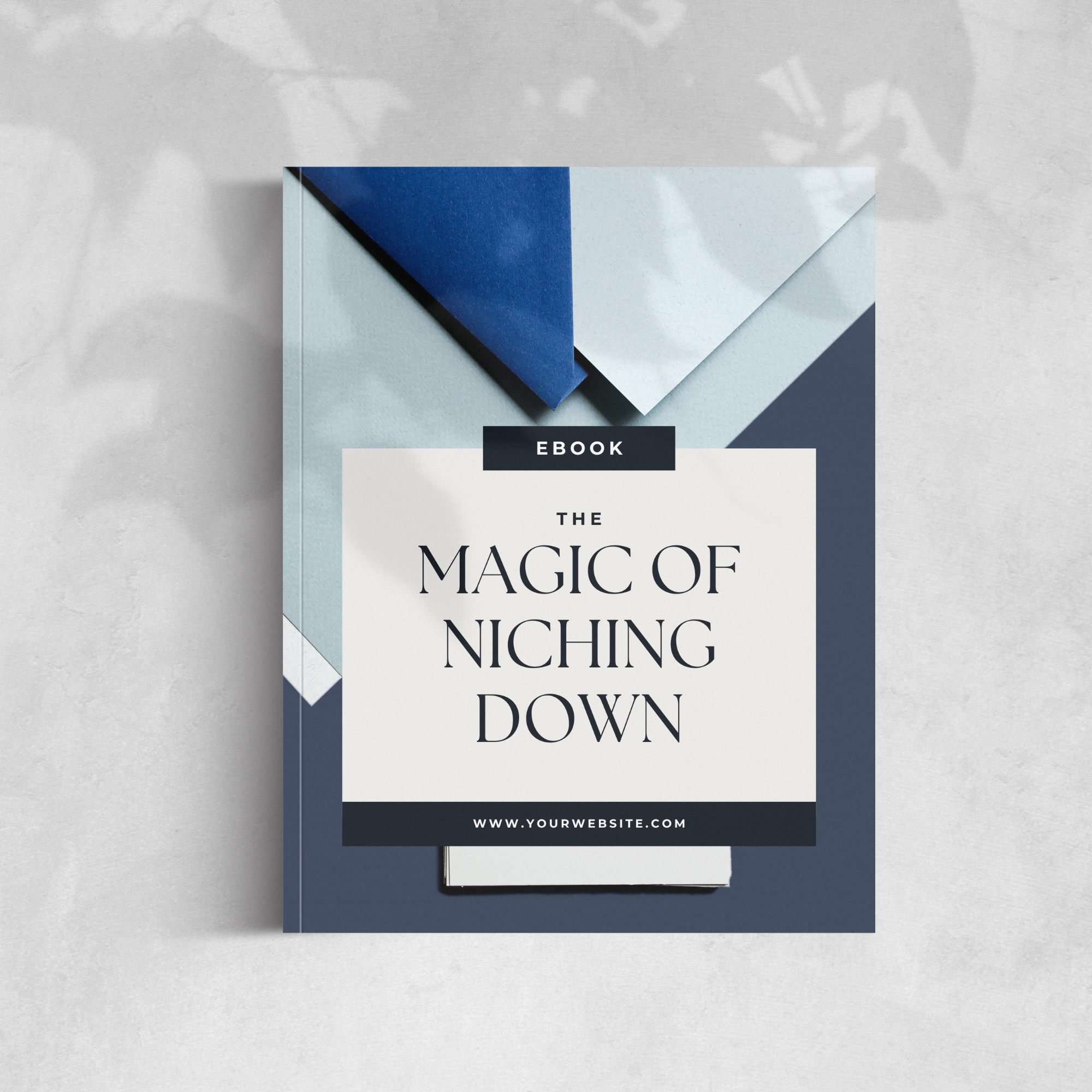 Niche Down Guide Mock Up