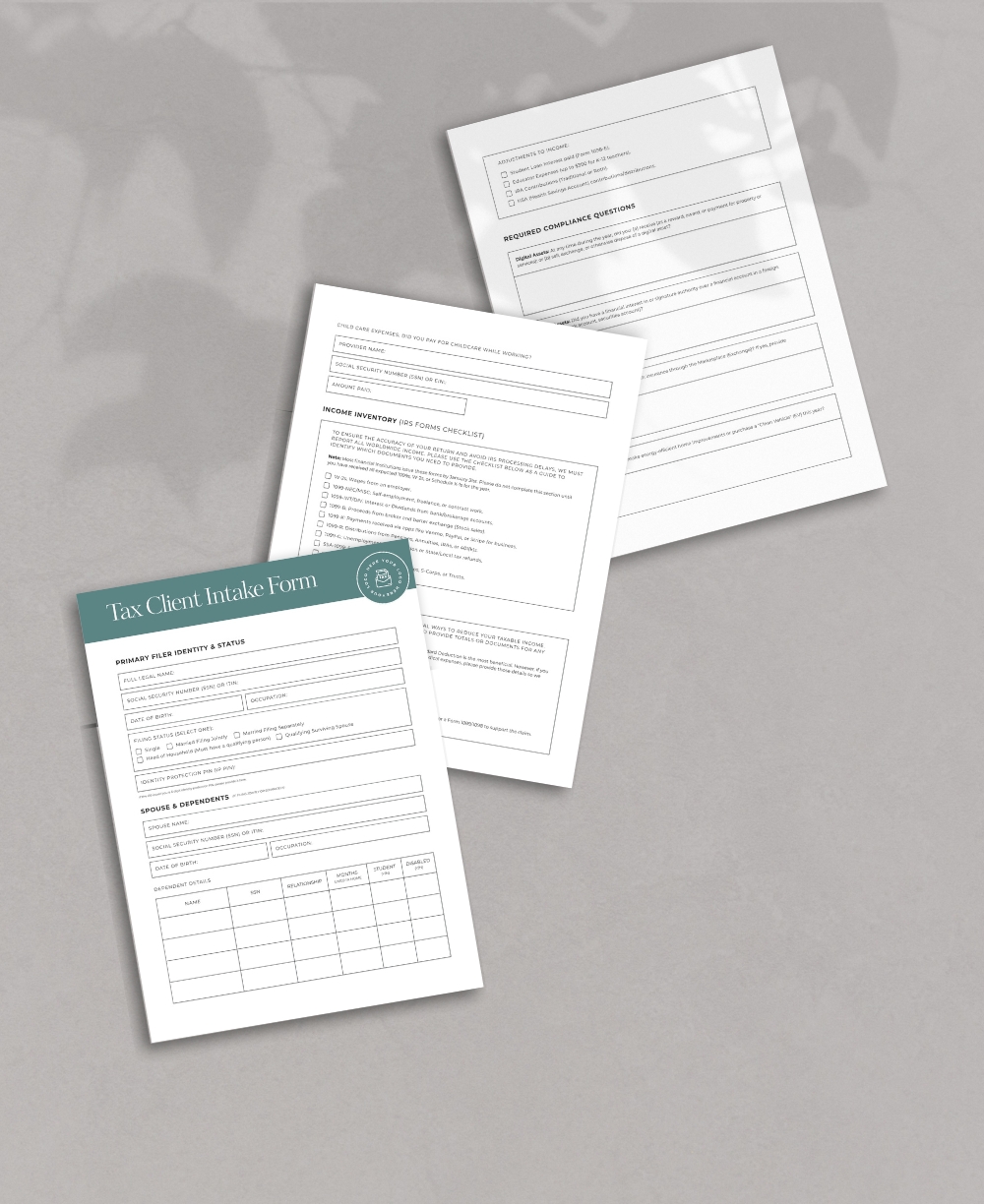 Tax Client Intake Form Mock Up