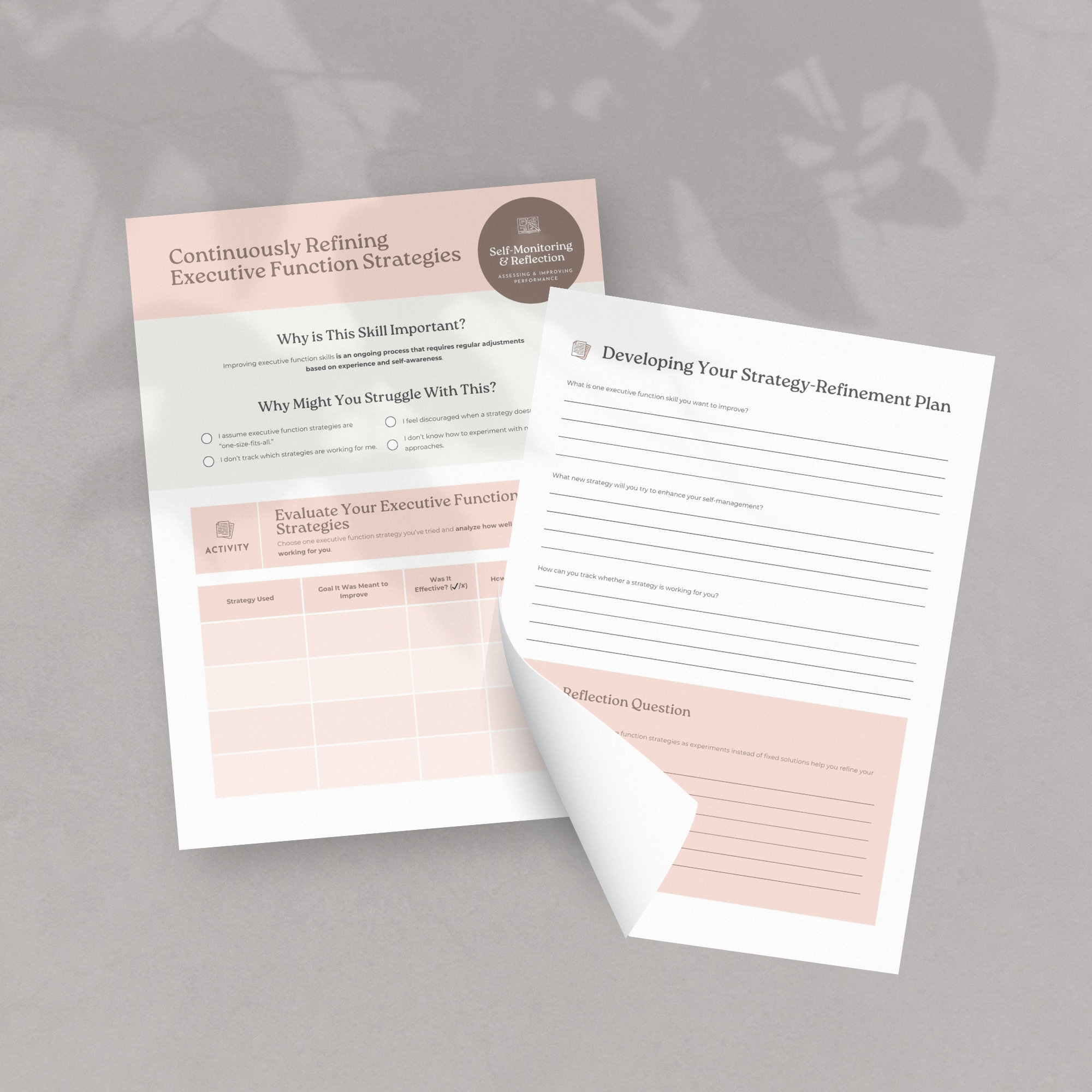 Refining Executive Function Strategies worksheet mock up