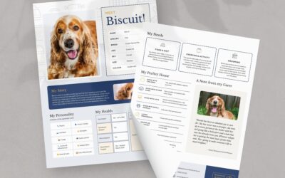Animal Adoption Profile