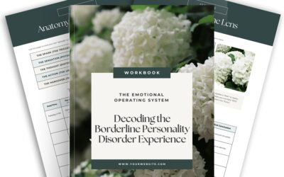 Borderline Personality Disorder Workbook