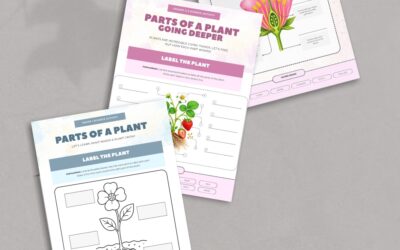 Parts Of A Plant Activity