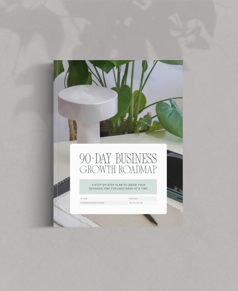 90-Day Business Growth Roadmap Mock Up
