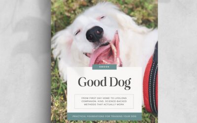 Dog Training Ebook