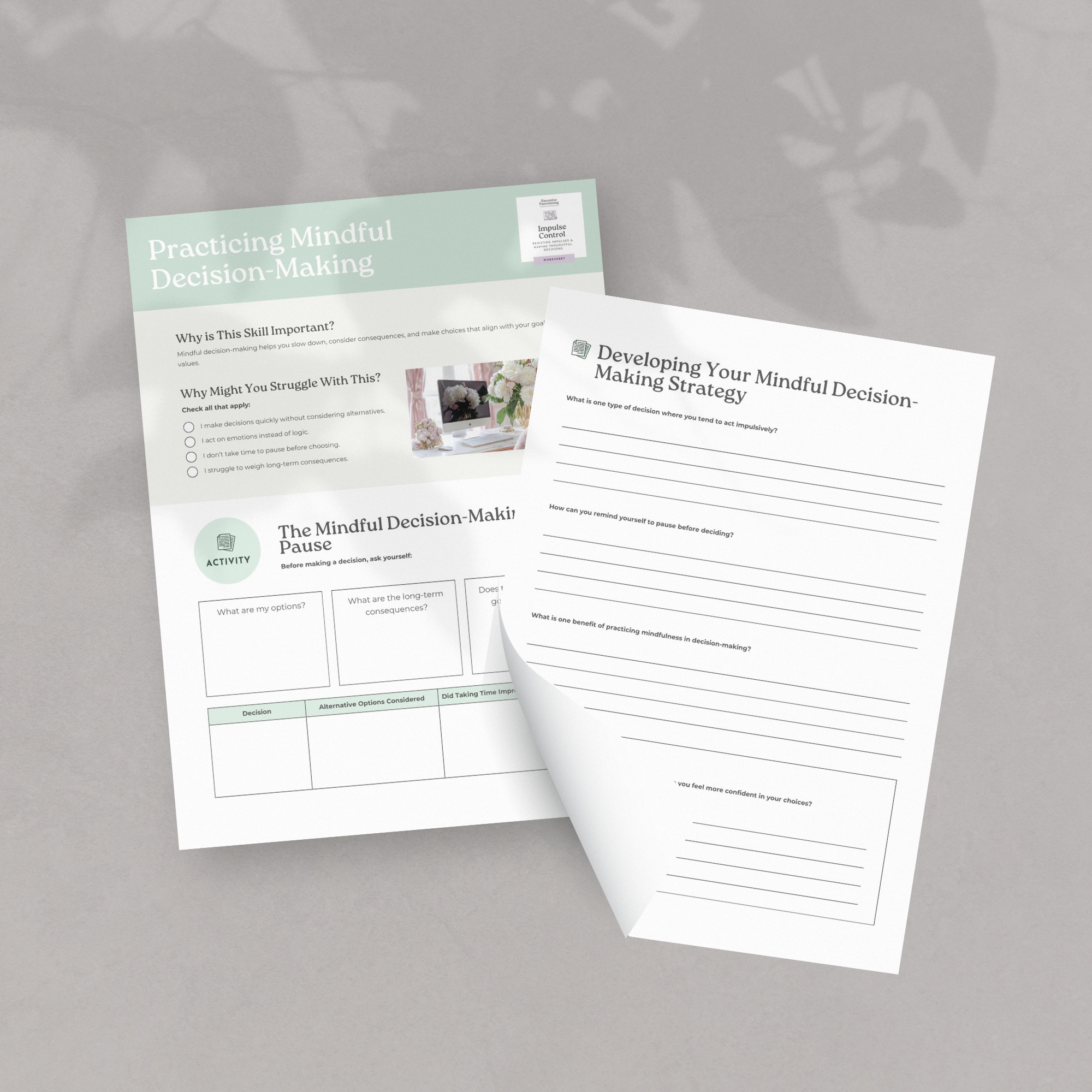 Mindful decision-making mock up
