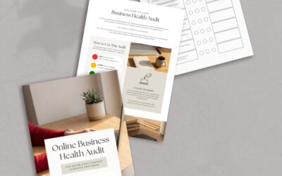 Online Business Health Audit