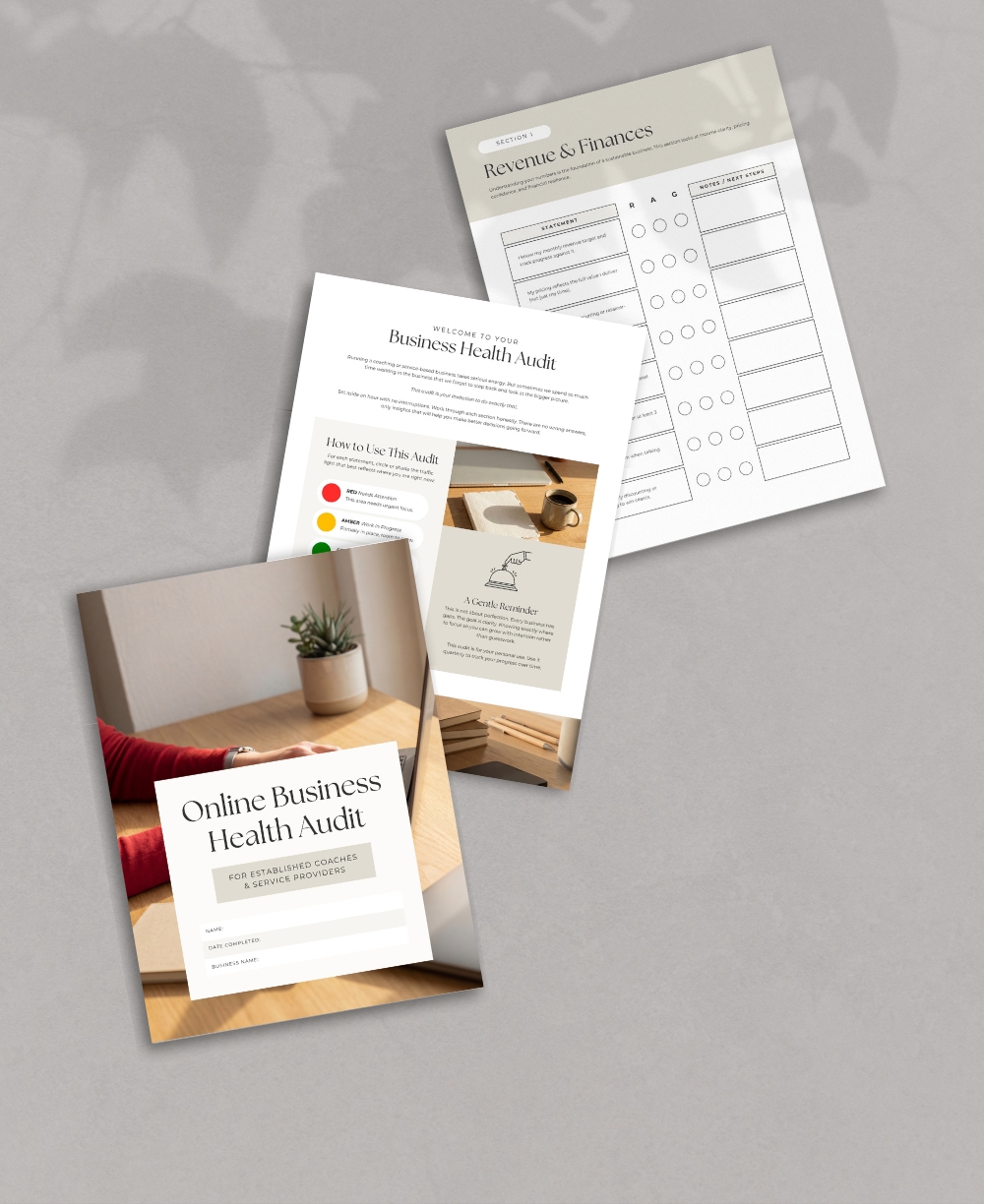 Online Business Health Audit Mock Up