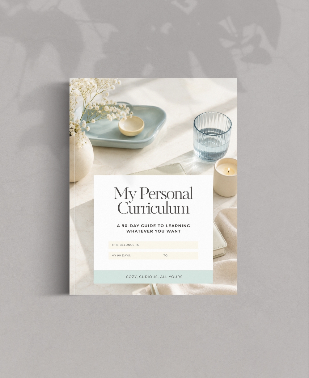 Personal Curriculum Planner Mock Up
