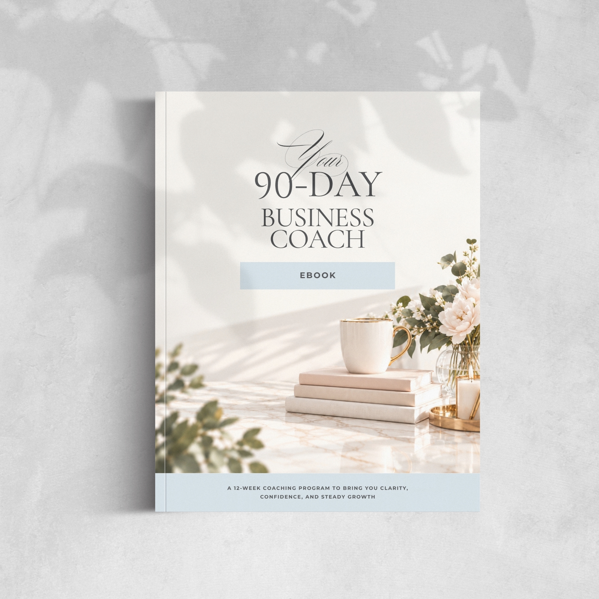 Business Coaching Ebook Mock Up