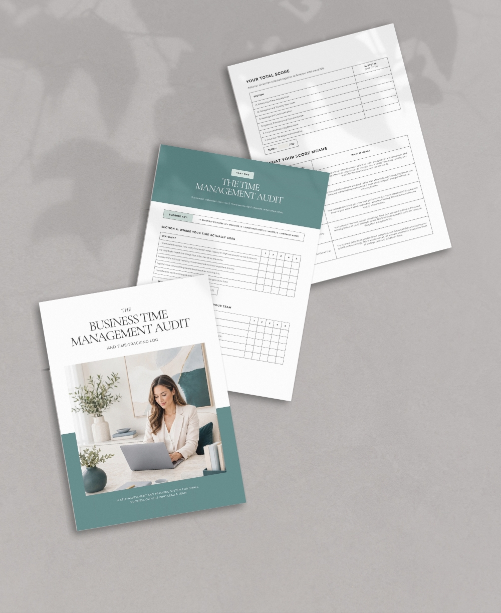 Business Time Management Audit Mock Up