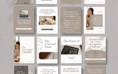 Instagram Template Emotional Regulation