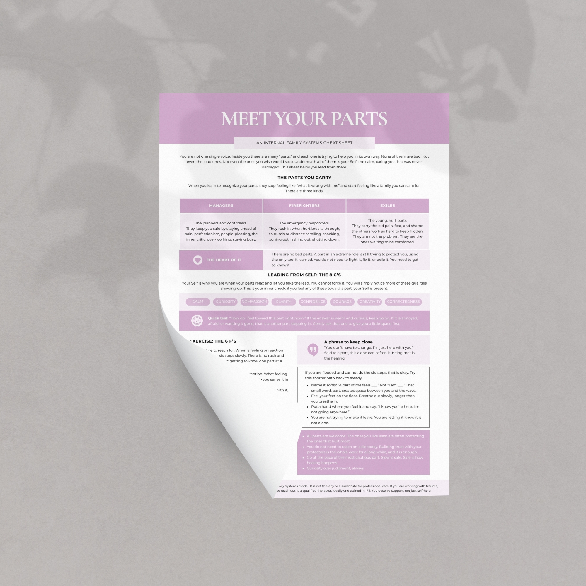Internal Family Worksheets Ifs Cheat Sheets one page Mock Up